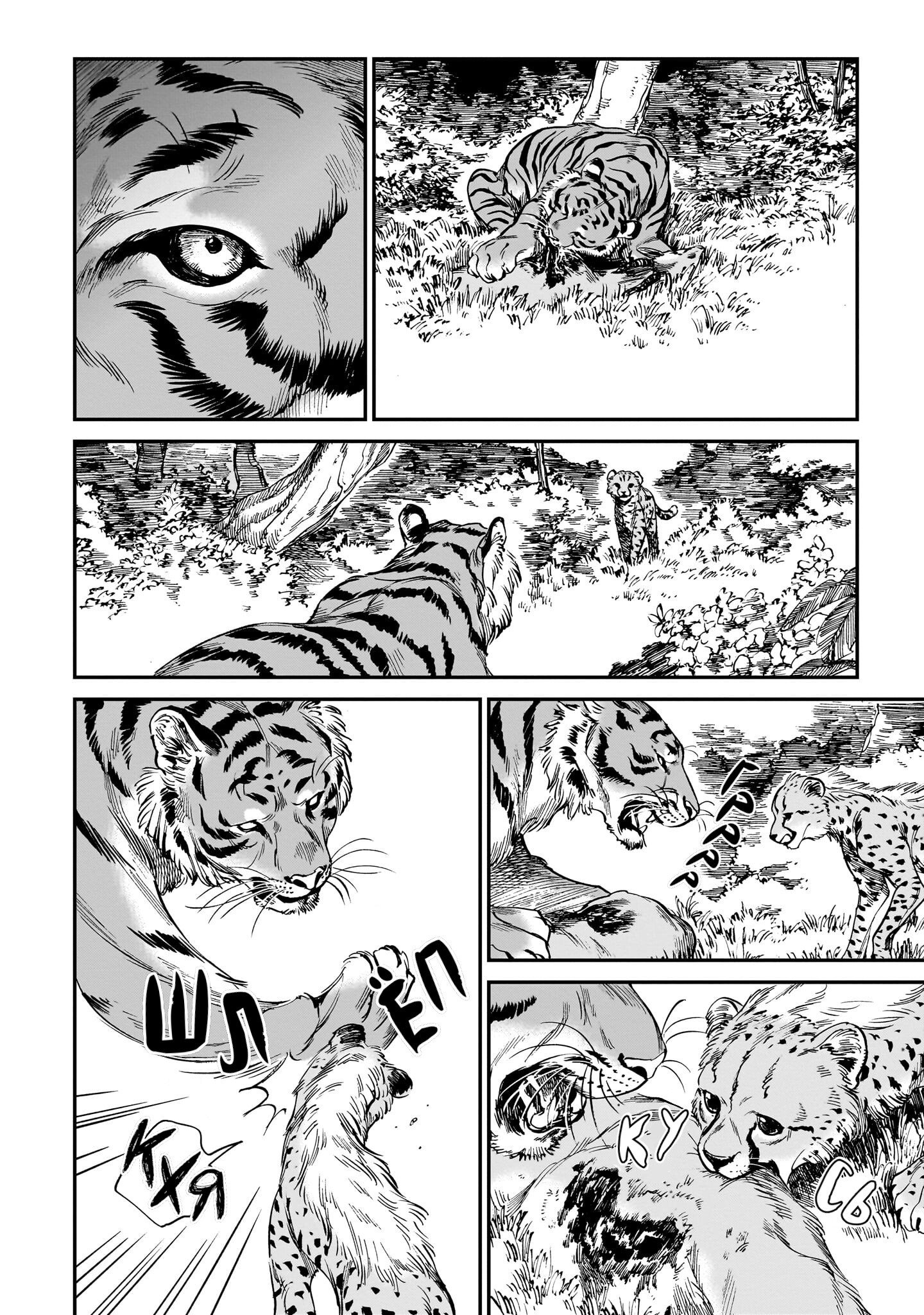 Манга Тигр еще не съел дракона - Глава 19 Страница 4