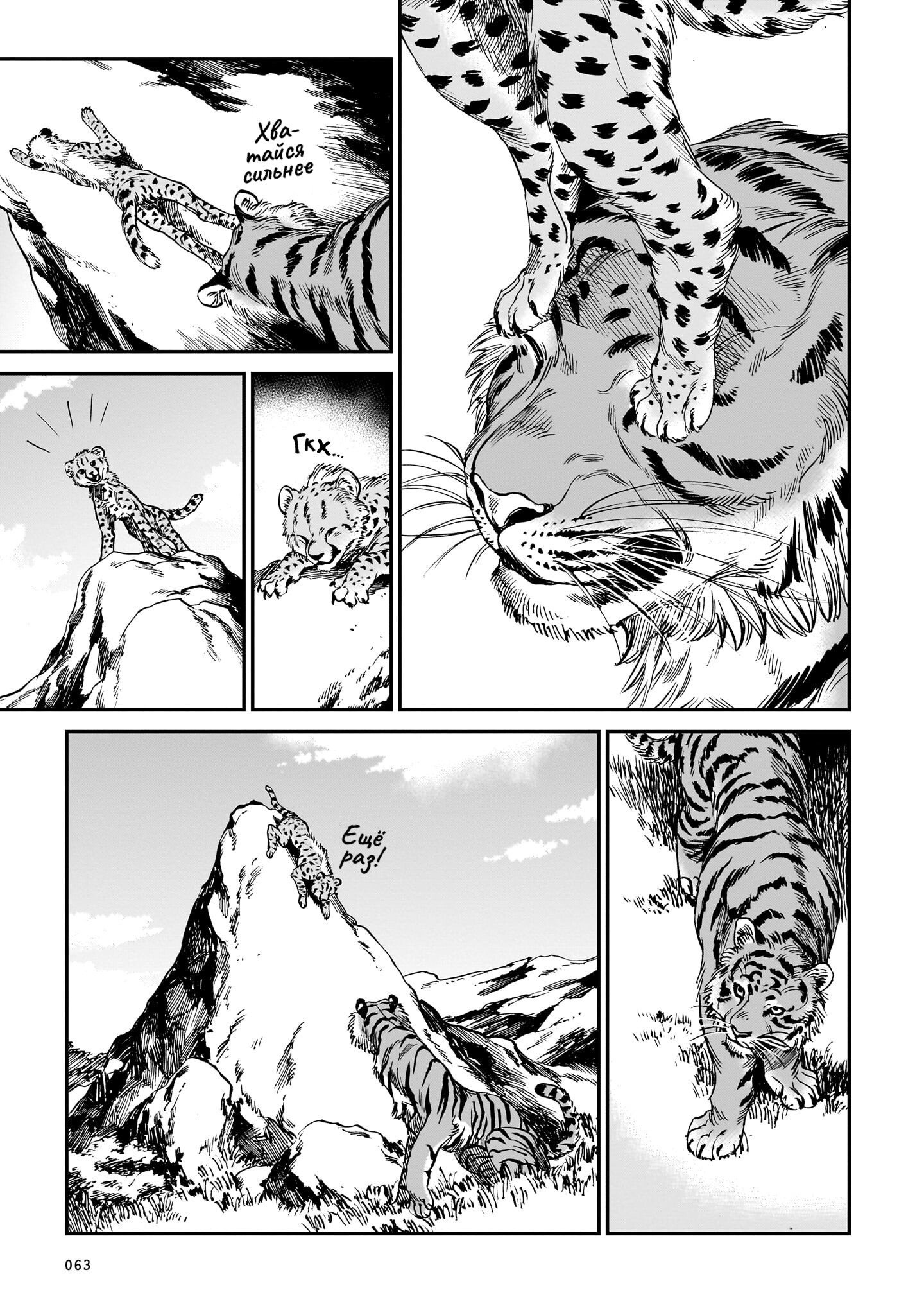 Манга Тигр еще не съел дракона - Глава 19 Страница 11